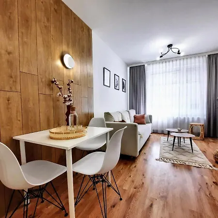 Kwietniewskiego Studio 1 With Sofa Bed * 比托姆